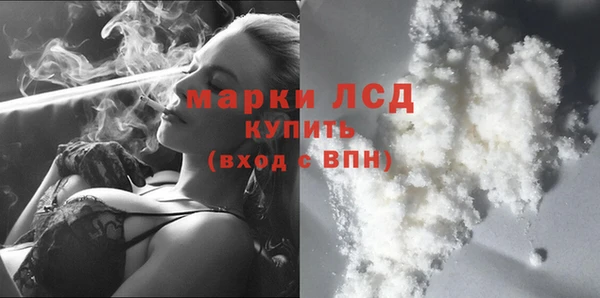 PSILOCYBIN Богданович