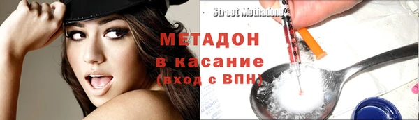 прущие грибы Беломорск