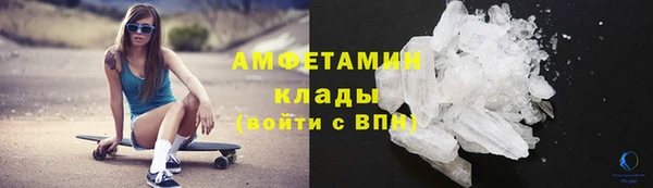 PSILOCYBIN Богданович