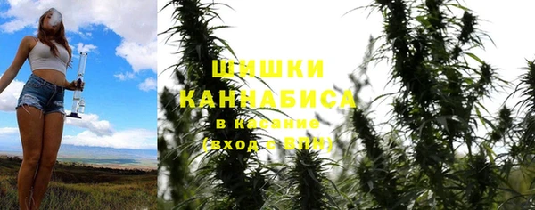 амф Богородицк